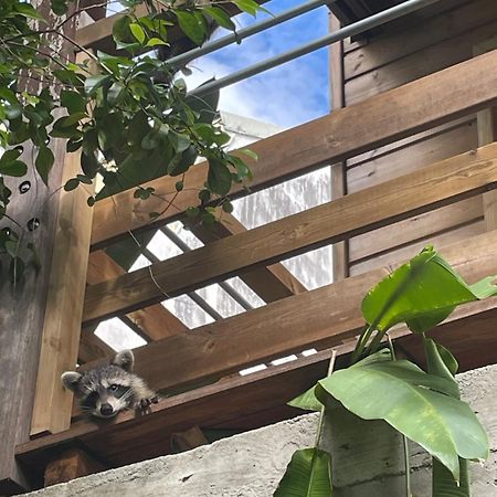 Bungalow Nature Gosier Centre 르 고지에 외부 사진